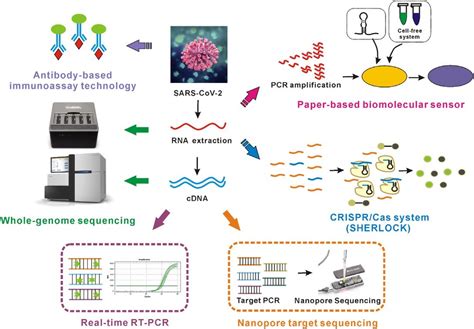 hexaprime result|HexaPrime: A novel method for detection of coronaviruses.